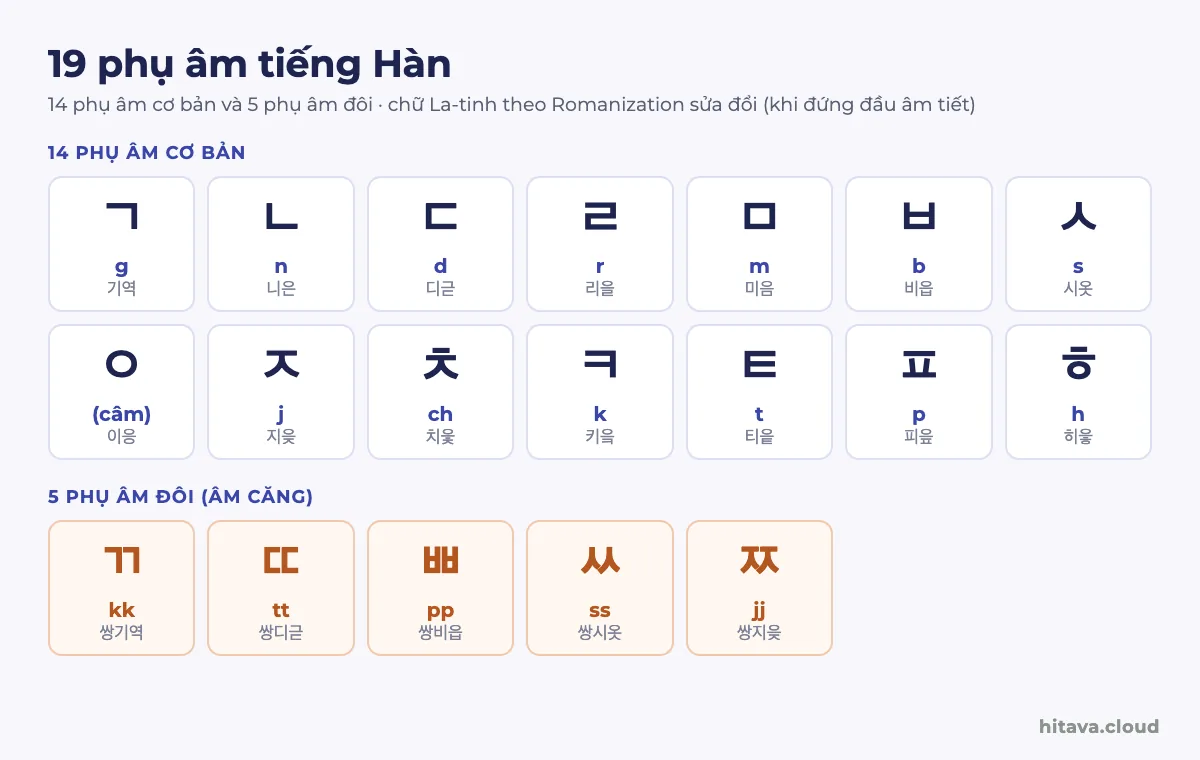 Bảng 19 phụ âm tiếng Hàn: 14 phụ âm cơ bản ㄱ ㄴ ㄷ ㄹ ㅁ ㅂ ㅅ ㅇ ㅈ ㅊ ㅋ ㅌ ㅍ ㅎ màu chàm và 5 phụ âm đôi ㄲ ㄸ ㅃ ㅆ ㅉ màu cam, mỗi ô có chữ La-tinh và tên chữ như 기역, 니은, 쌍기역