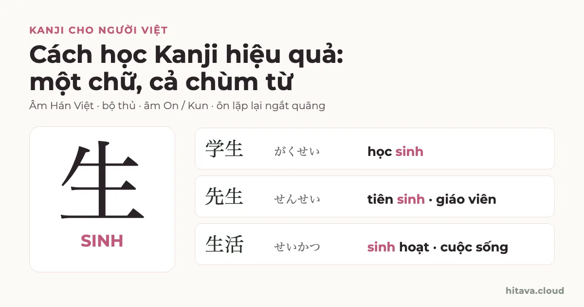 Chữ Kanji 生 âm Hán Việt SINH cỡ lớn, bên cạnh ba từ chứa chữ này: 学生 がくせい học sinh, 先生 せんせい tiên sinh là giáo viên, 生活 せいかつ sinh hoạt là cuộc sống
