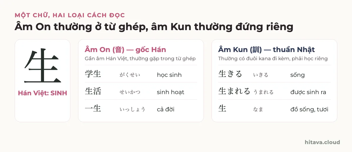 Chữ 生 Hán Việt SINH với hai cột: âm On gốc Hán gồm 学生 がくせい học sinh, 生活 せいかつ sinh hoạt, 一生 いっしょう cả đời; âm Kun thuần Nhật gồm 生きる いきる sống, 生まれる うまれる được sinh ra, 生 なま đồ sống, tươi
