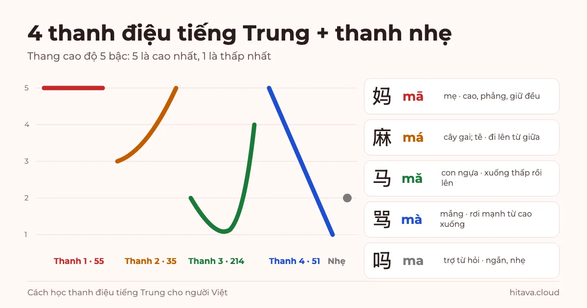 Biểu đồ cao độ 5 bậc của 4 thanh điệu tiếng Trung và thanh nhẹ: thanh 1 cao phẳng 55, thanh 2 đi lên 35, thanh 3 xuống thấp rồi lên 214, thanh 4 rơi từ cao xuống 51, kèm ví dụ 妈 mā, 麻 má, 马 mǎ, 骂 mà, 吗 ma