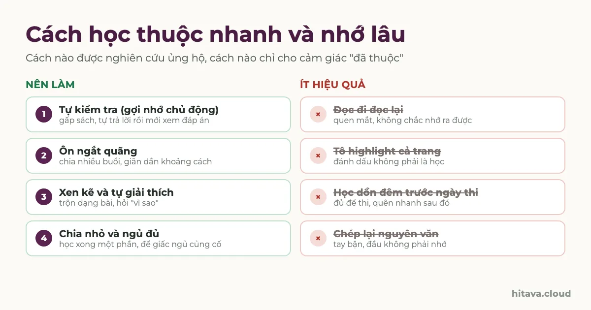 Hai cột so sánh: nên làm gồm tự kiểm tra, ôn ngắt quãng, xen kẽ và tự giải thích, chia nhỏ và ngủ đủ; ít hiệu quả gồm đọc đi đọc lại, tô highlight cả trang, học dồn đêm trước ngày thi, chép lại nguyên văn