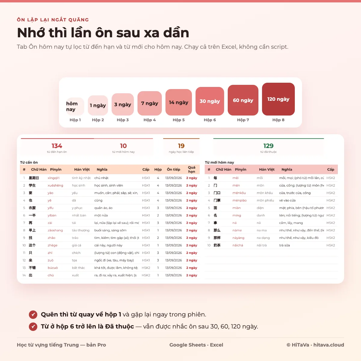 Ảnh giới thiệu mẫu Học từ vựng tiếng Trung PRO: 8 hộp ôn từ hôm nay đến 120 ngày, bên dưới là tab Ôn hôm nay với 134 từ đến hạn, 10 từ mới và danh sách từ cần ôn có cột Hộp, Ôn tiếp, Quá hạn