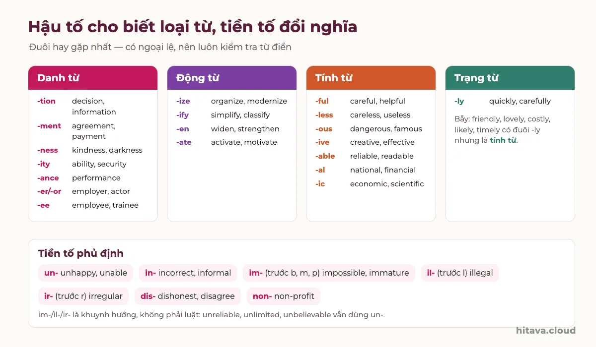 Bảng hậu tố theo bốn loại từ: danh từ -tion, -ment, -ness, -ity, -ance, -er, -ee; động từ -ize, -ify, -en, -ate; tính từ -ful, -less, -ous, -ive, -able, -al, -ic; trạng từ -ly; và các tiền tố phủ định un-, in-, im-, il-, ir-, dis-, non-