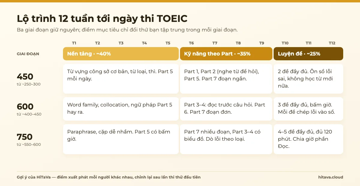Lộ trình 12 tuần tới ngày thi TOEIC: tuần 1–5 Nền tảng, tuần 6–9 Kỹ năng theo Part, tuần 10–12 Luyện đề; mỗi mục tiêu 450, 600, 750 có trọng tâm riêng cho từng giai đoạn