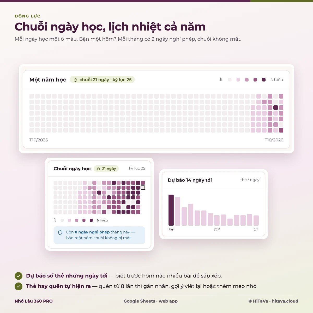 Chuỗi 21 ngày học, kỷ lục 25 ngày, lịch nhiệt từng ngày học trong năm và dự báo số thẻ 14 ngày tới